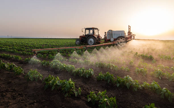 Best Mosquito Control Services  in Stonegate, CO