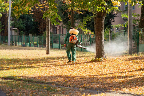 Best Residential Pest Control  in Stonegate, CO