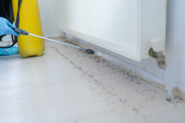 Best Pest Control Near Me in Stonegate, CO
