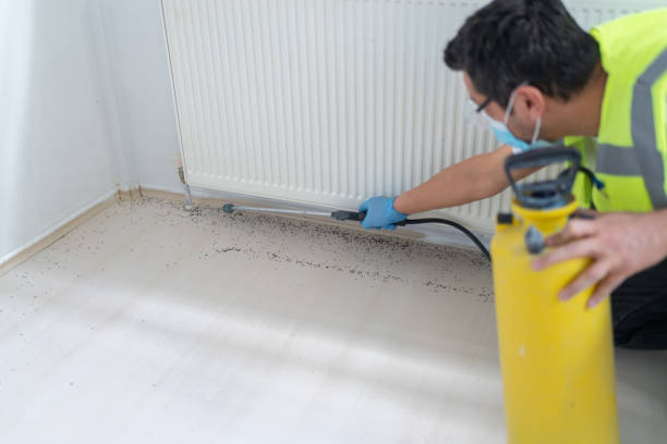 Best Bed Bug Extermination  in Stonegate, CO